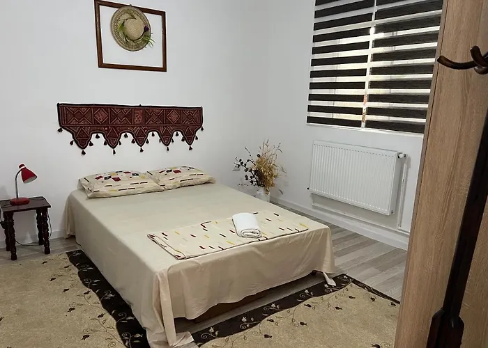 Casa Vily